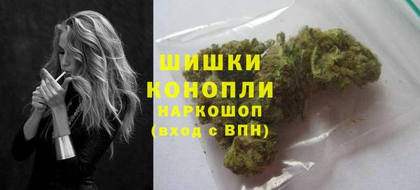 трава Арсеньев