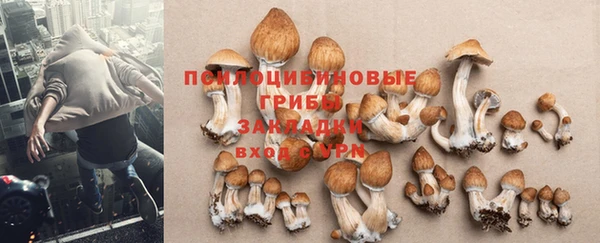 метамфетамин Аркадак