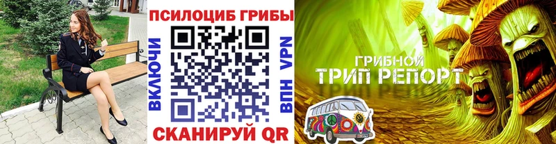 Галлюциногенные грибы Psilocybe  наркошоп  blacksprut ссылки  Павлово 